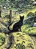 David Welker - Odysseus