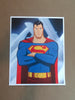 Des Taylor - Superman