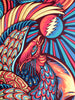 Todd Slater - Grateful Dead